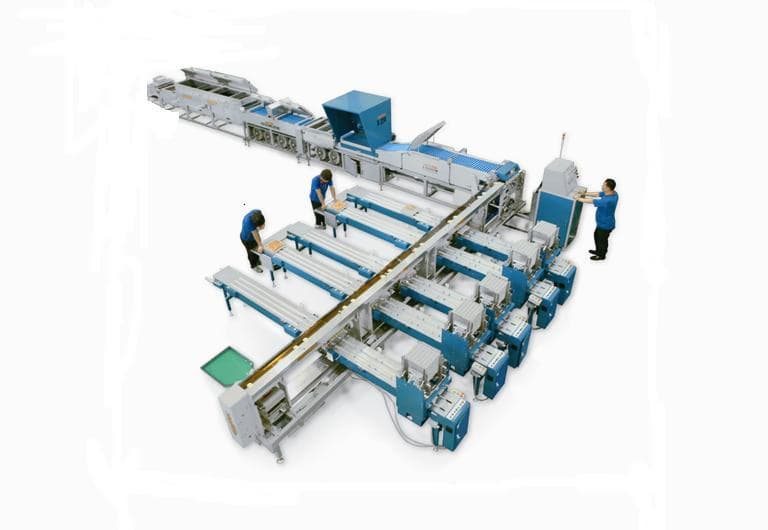 Automatic Egg Grading and Packing Machine